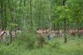 clan saint rieul - JN2007   355